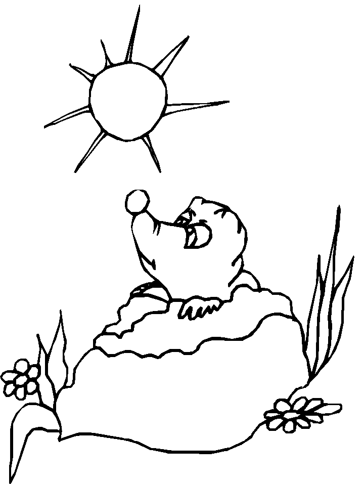 Dessin à colorier: Marmotte (Animaux) #10904 - Coloriages à Imprimer Gratuits