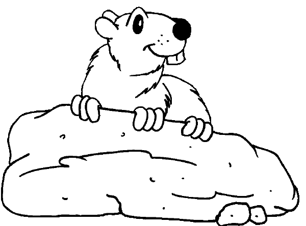 Dessin à colorier: Marmotte (Animaux) #10936 - Coloriages à Imprimer Gratuits