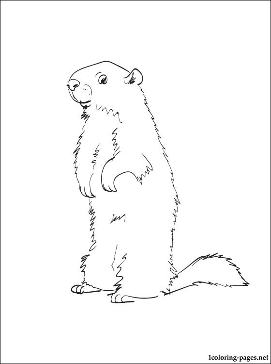 Dessin à colorier: Marmotte (Animaux) #10953 - Coloriages à Imprimer Gratuits