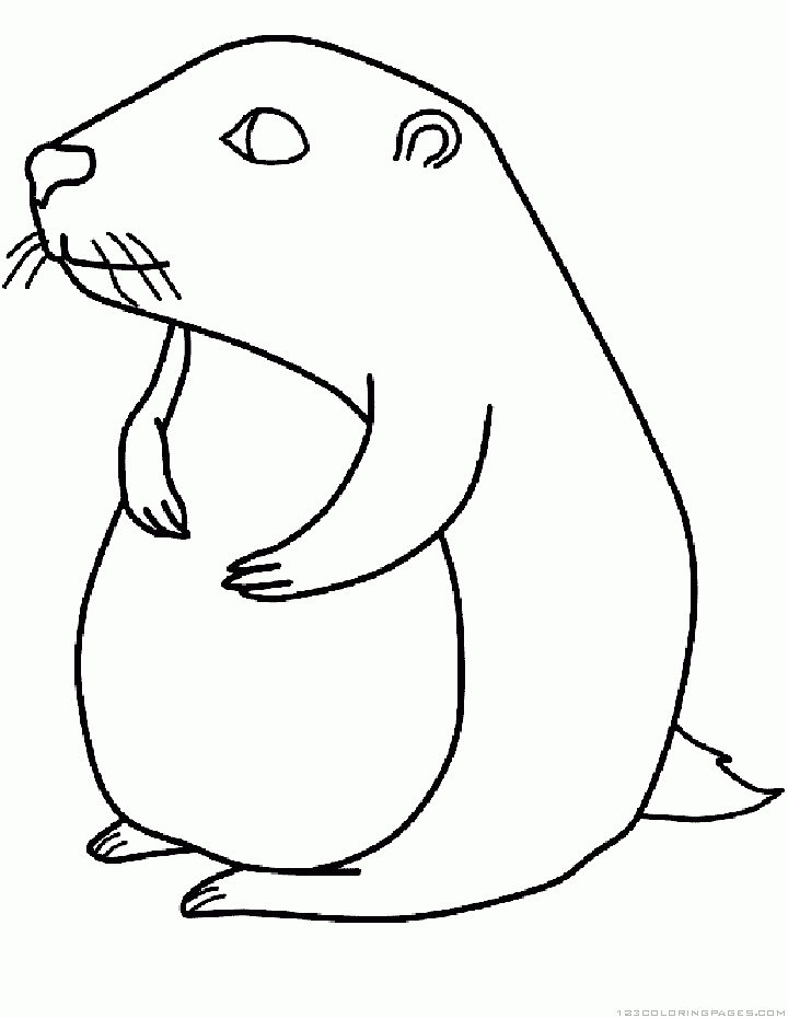 Dessin à colorier: Marmotte (Animaux) #10958 - Coloriages à Imprimer Gratuits