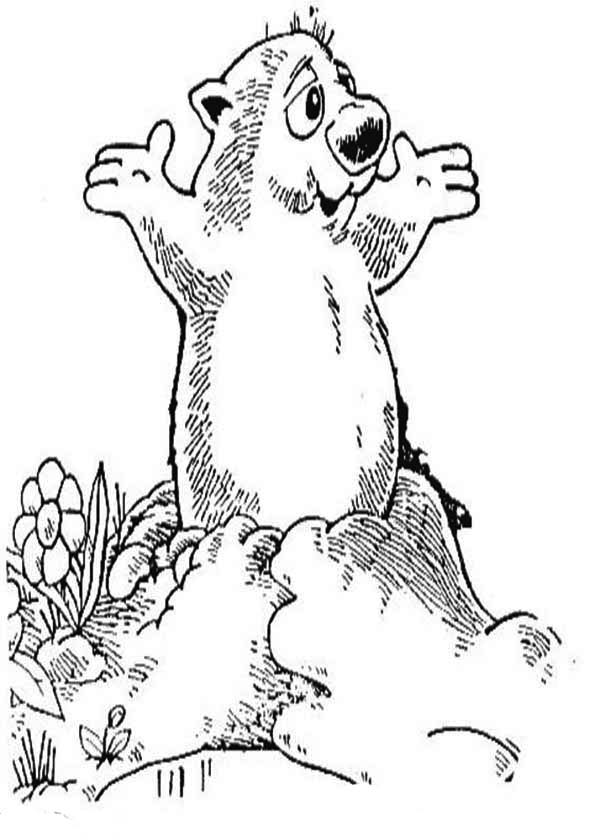 Dessin à colorier: Marmotte (Animaux) #10963 - Coloriages à Imprimer Gratuits