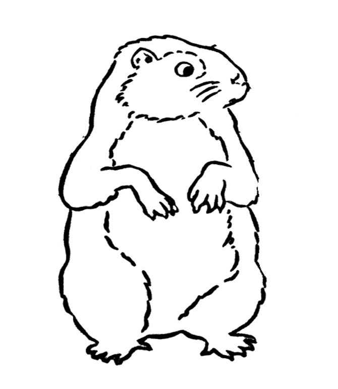 Dessin à colorier: Marmotte (Animaux) #10985 - Coloriages à Imprimer Gratuits