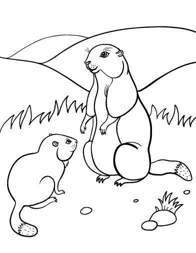 Dessin à colorier: Marmotte (Animaux) #10990 - Coloriages à Imprimer Gratuits