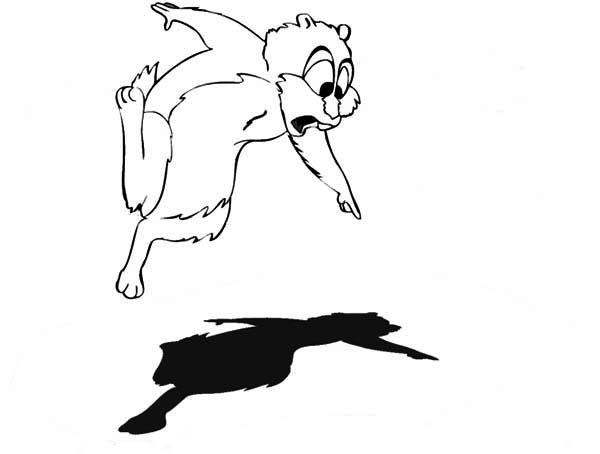 Dessin à colorier: Marmotte (Animaux) #10995 - Coloriages à Imprimer Gratuits