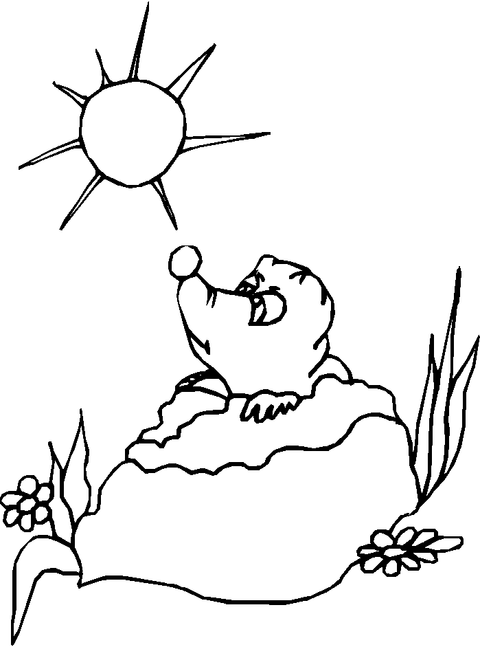 Dessin à colorier: Marmotte (Animaux) #11034 - Coloriages à Imprimer Gratuits
