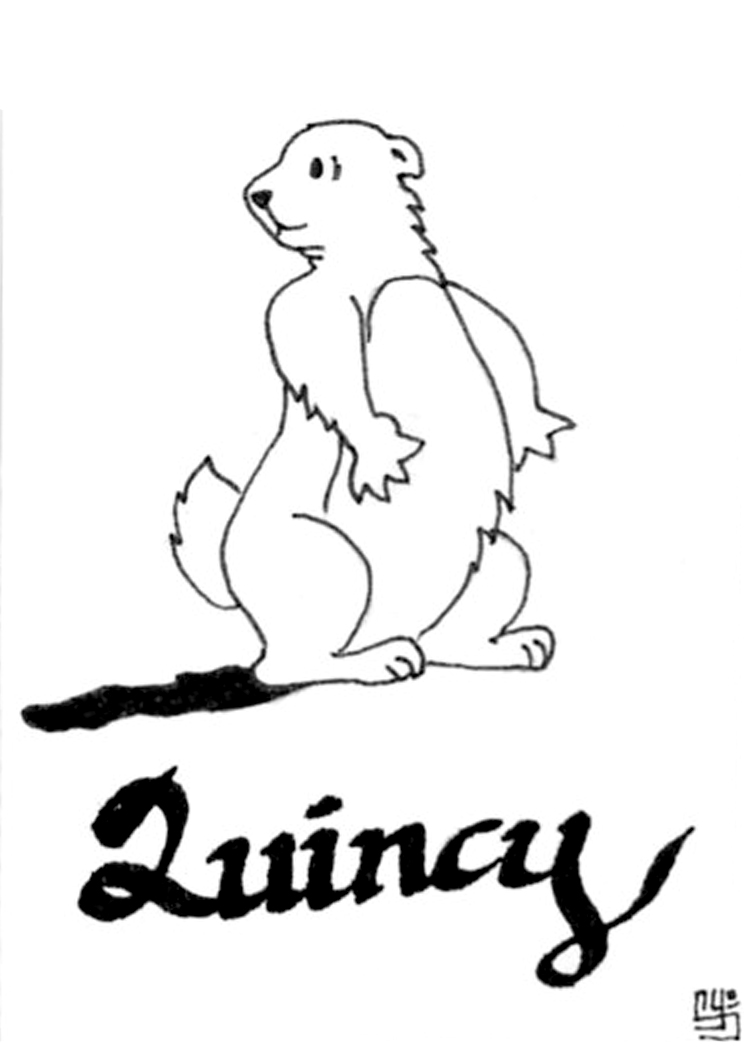Dessin à colorier: Marmotte (Animaux) #11050 - Coloriages à Imprimer Gratuits
