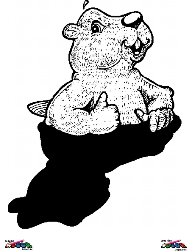 Dessin à colorier: Marmotte (Animaux) #11063 - Coloriages à Imprimer Gratuits