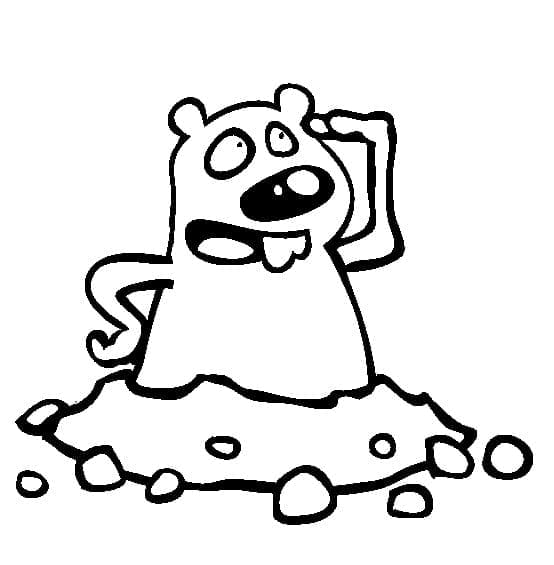 Illustration au trait Marmotte #212708 de la collection Animaux à colorier gratuitement