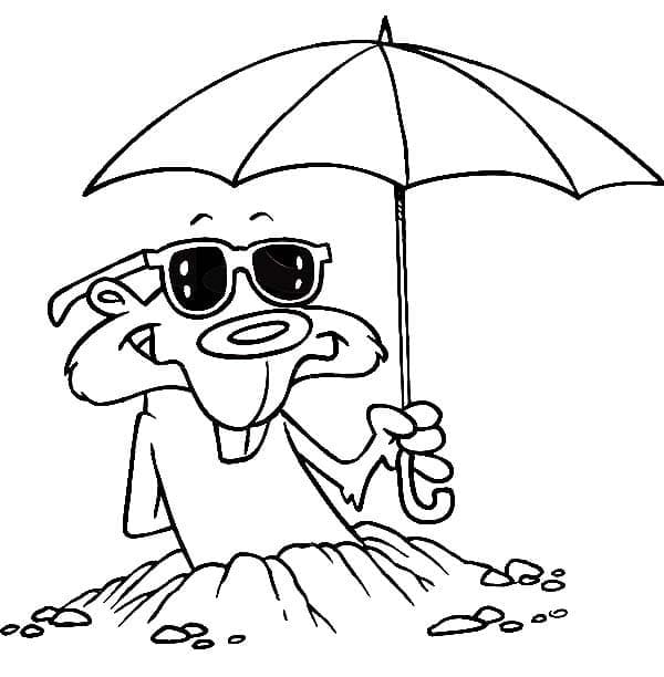 Joli coloriage Marmotte #212712 de la collection Animaux, prêt à imprimer pour petits et grands