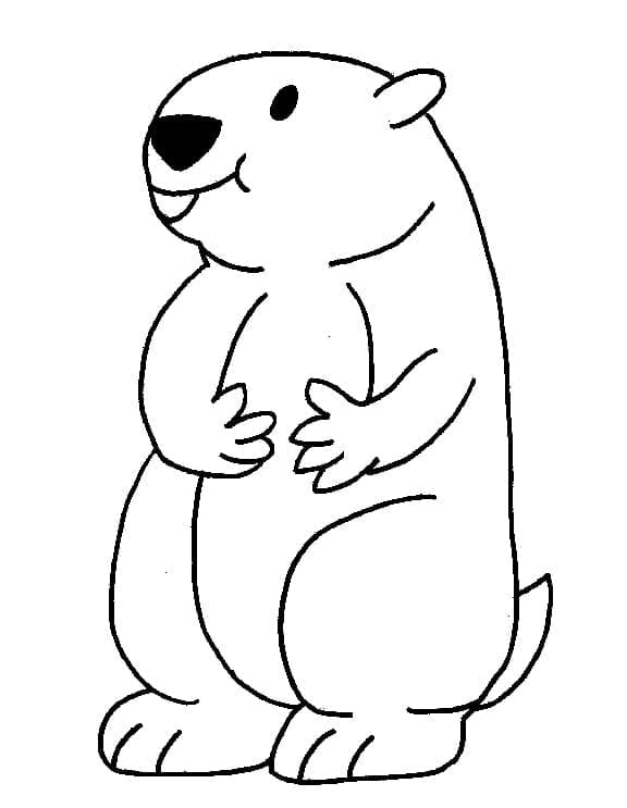 Dessin Marmotte #212715 à colorier de la série Animaux, gratuit à télécharger et imprimer