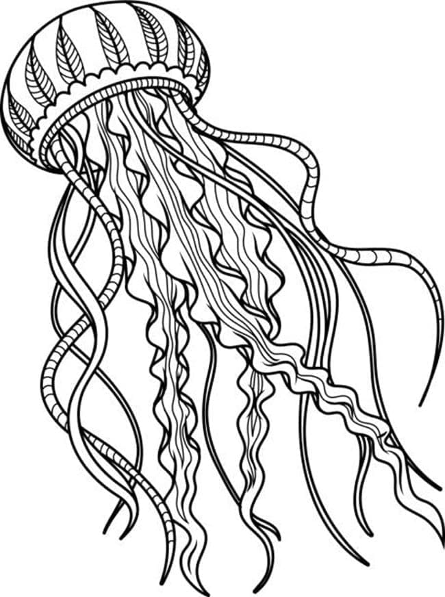 Coloriage gratuit Méduse #208793 de la collection Animaux à imprimer