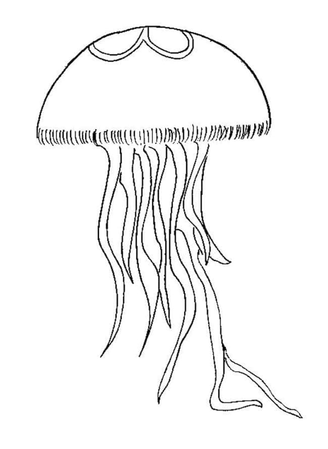 Page de coloriage Méduse #208800, collection Animaux, à imprimer et colorier