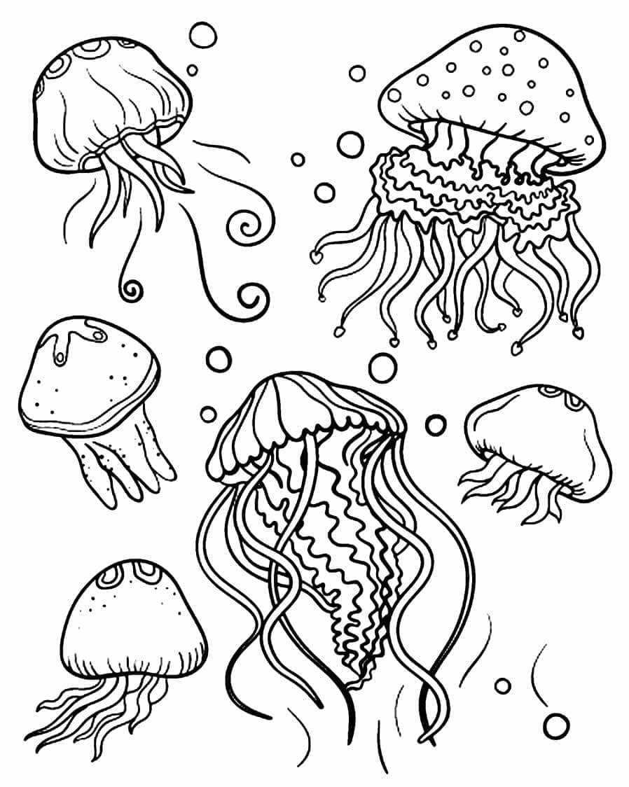 Coloriage gratuit Méduse #208815 de la collection Animaux à imprimer