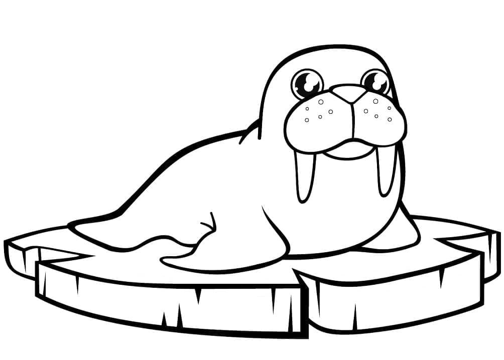 Coloriage gratuit Morse #208650 de la collection Animaux à imprimer