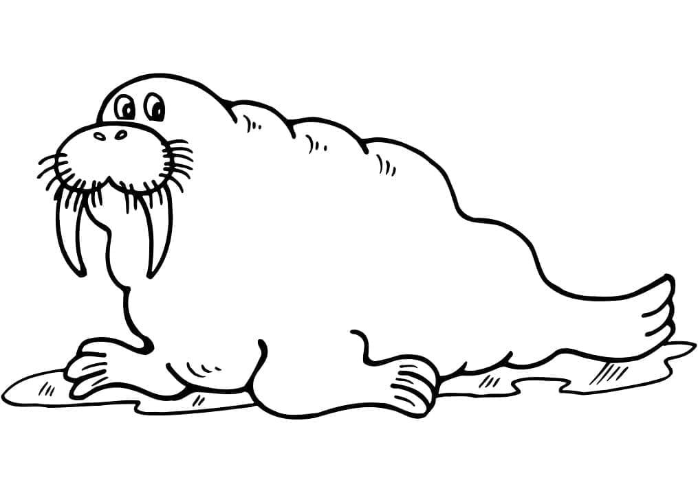 Coloriage gratuit Morse #208660 de la collection Animaux à imprimer