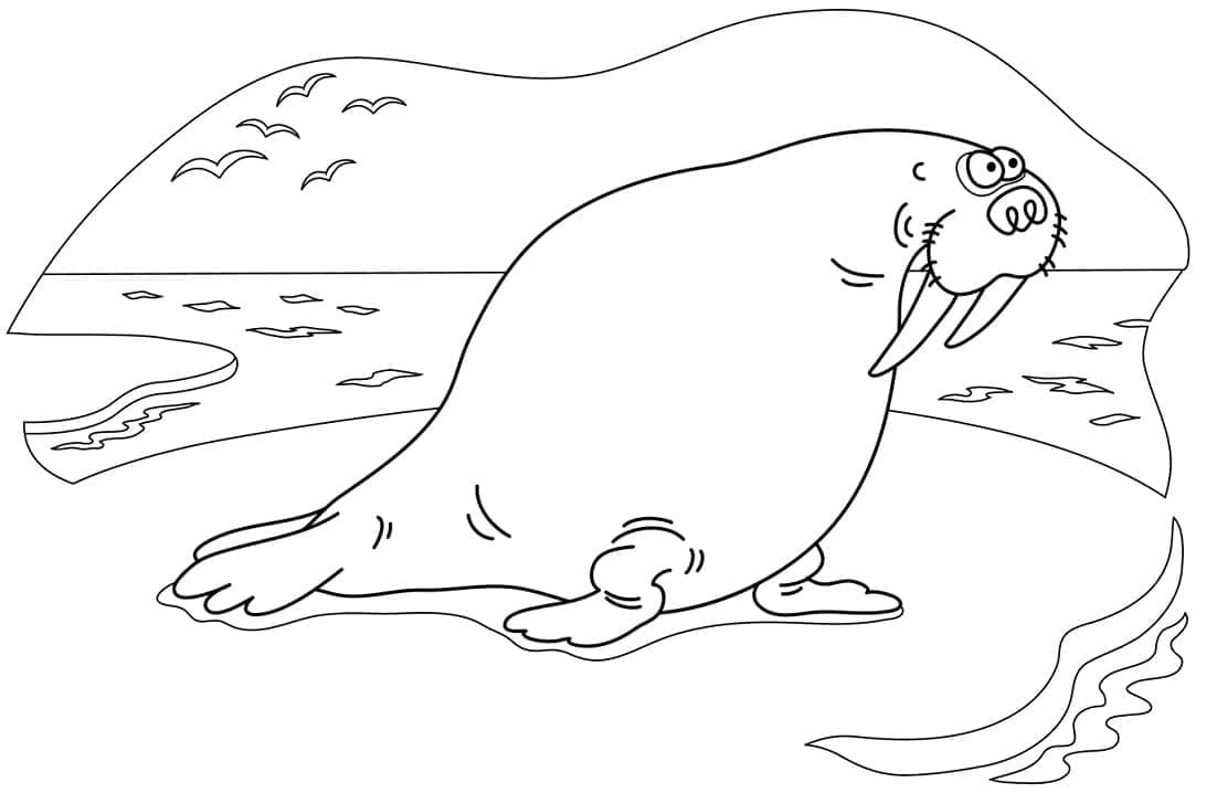 Coloriage gratuit Morse #208671 de la collection Animaux à imprimer