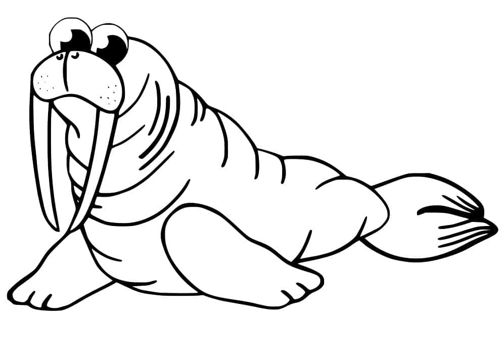 Coloriage gratuit Morse #208681 de la collection Animaux à imprimer