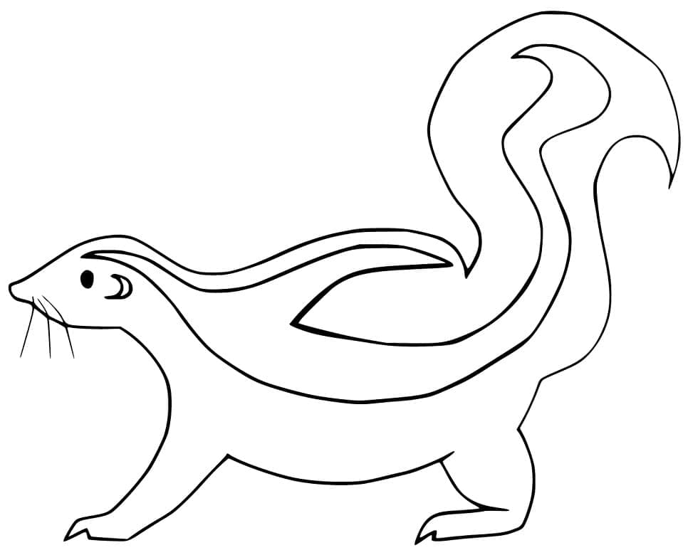 Coloriage gratuit pour enfants et adultes Moufette #205302, collection Animaux