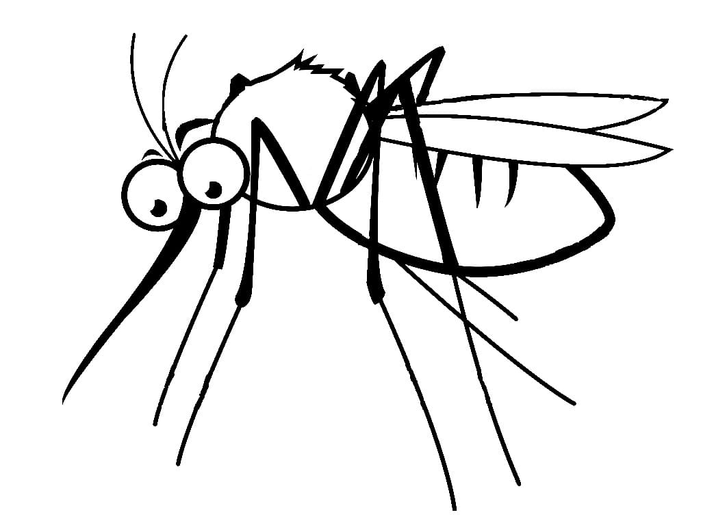 Dessin à colorier: Moustique (Animaux) #207160 - Coloriages à Imprimer Gratuits
