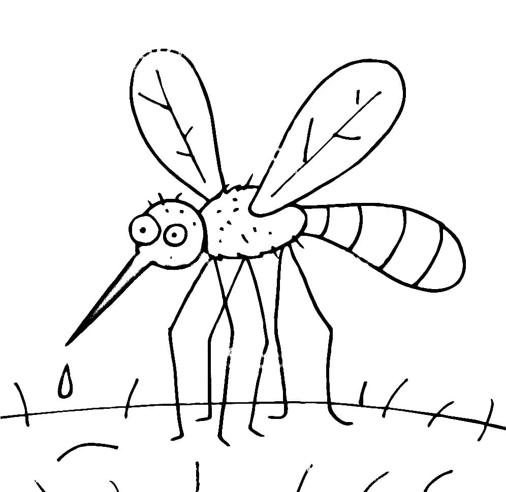 Dessin à colorier: Moustique (Animaux) #207161 - Coloriages à Imprimer Gratuits