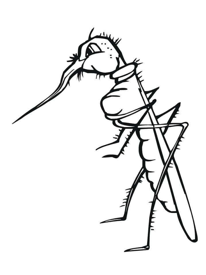 Dessin à colorier: Moustique (Animaux) #207163 - Coloriages à Imprimer Gratuits