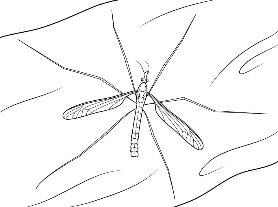 Dessin à colorier: Moustique (Animaux) #207167 - Coloriages à Imprimer Gratuits