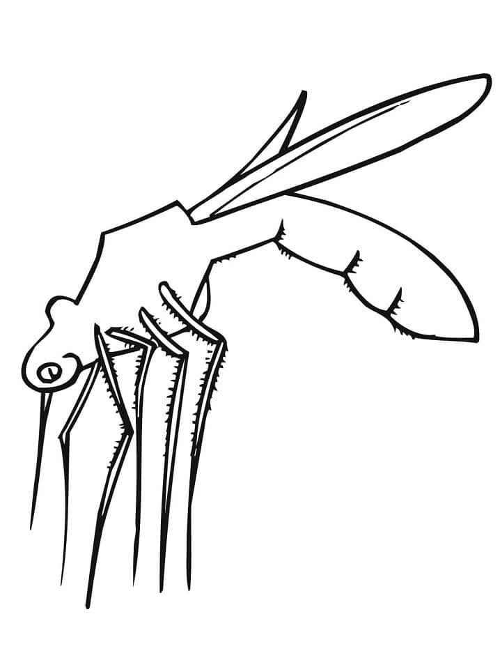 Dessin à colorier: Moustique (Animaux) #207169 - Coloriages à Imprimer Gratuits