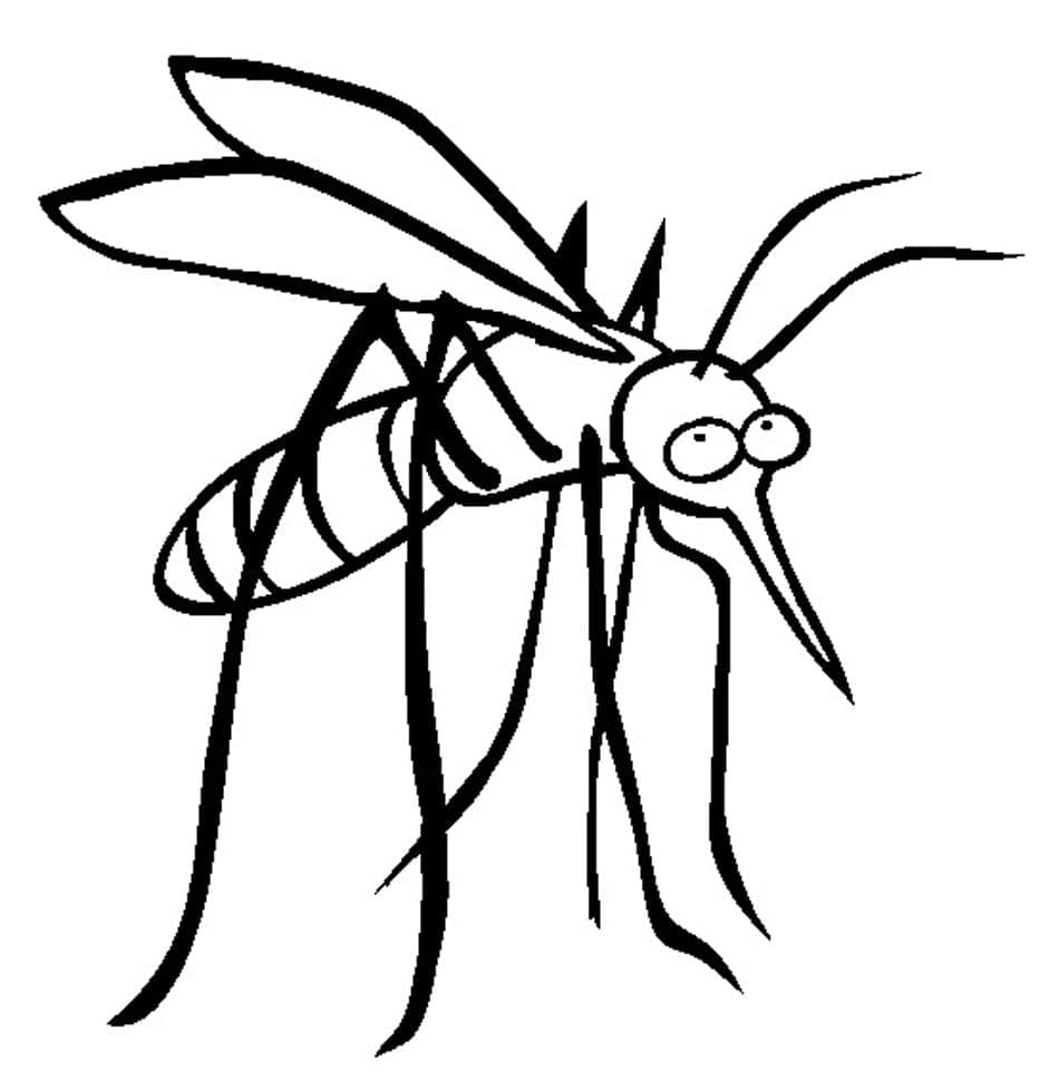 Dessin à colorier: Moustique (Animaux) #207173 - Coloriages à Imprimer Gratuits