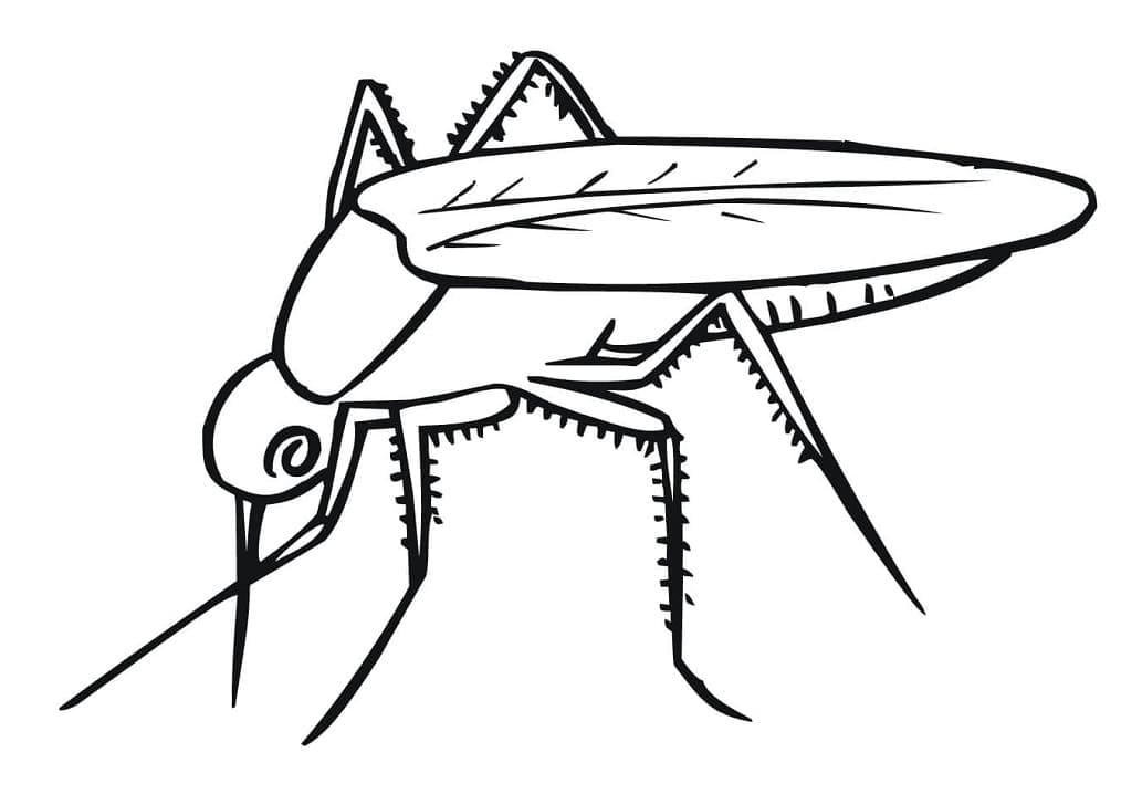 Dessin à colorier: Moustique (Animaux) #207174 - Coloriages à Imprimer Gratuits