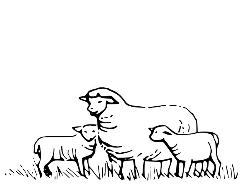Dessin à colorier: Mouton (Animaux) #11415 - Coloriages à Imprimer Gratuits