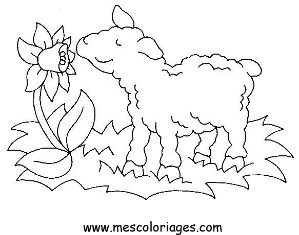 Dessin à colorier: Mouton (Animaux) #11458 - Coloriages à Imprimer Gratuits