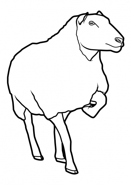 Dessin à colorier: Mouton (Animaux) #11460 - Coloriages à Imprimer Gratuits