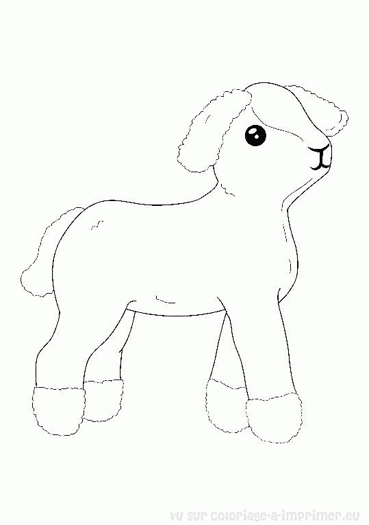 Dessin à colorier: Mouton (Animaux) #11518 - Coloriages à Imprimer Gratuits