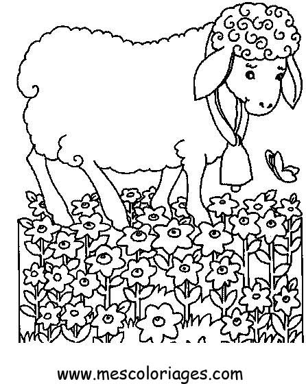 Dessin à colorier: Mouton (Animaux) #11533 - Coloriages à Imprimer Gratuits