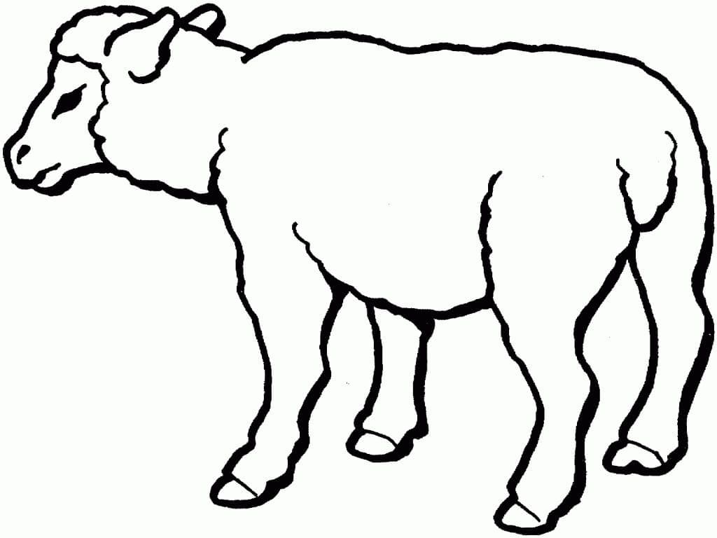 Coloriage à imprimer Mouton #198644 de la série Animaux, gratuit pour enfants et adultes