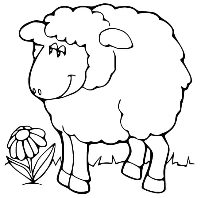 Coloriage gratuit pour enfants et adultes Mouton #198651, collection Animaux