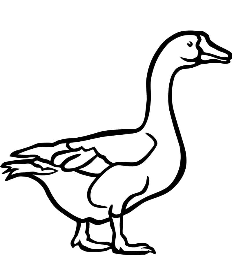 Joli coloriage Oie #188135 de la collection Animaux, prêt à imprimer pour petits et grands