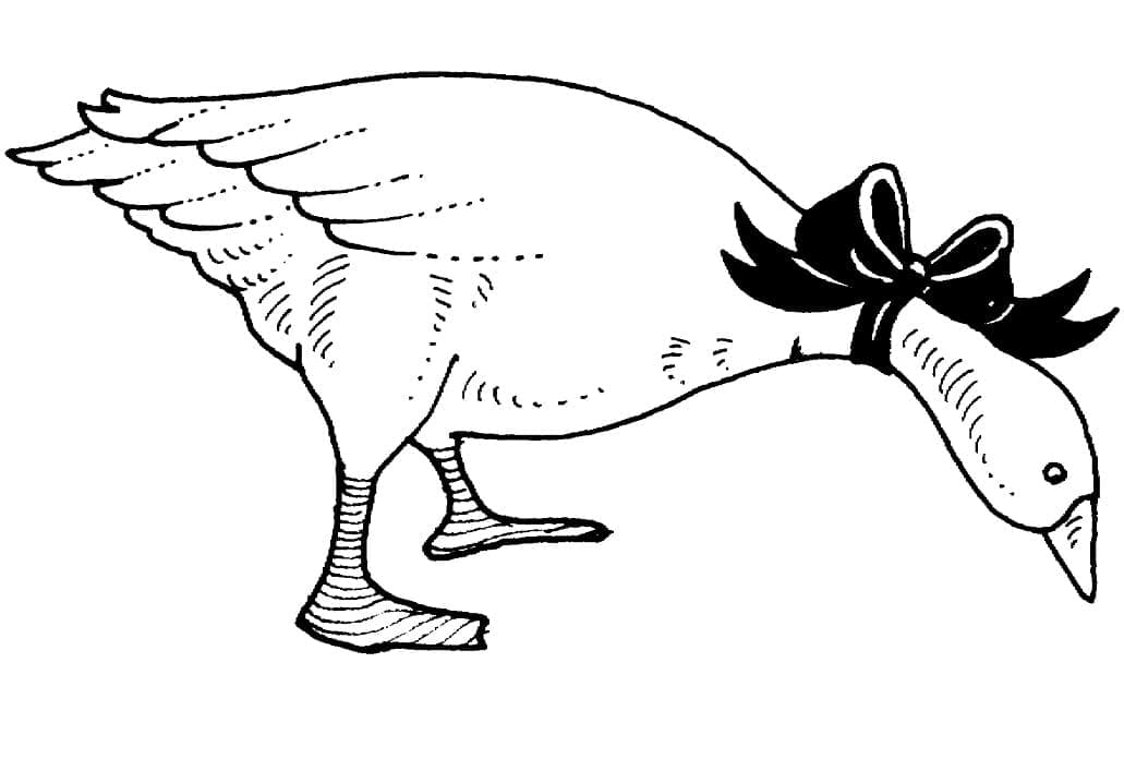 Illustration au trait Oie #188147 de la collection Animaux à colorier gratuitement