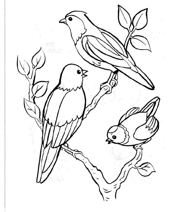 Dessin à colorier: Oiseaux (Animaux) #11841 - Coloriages à Imprimer Gratuits