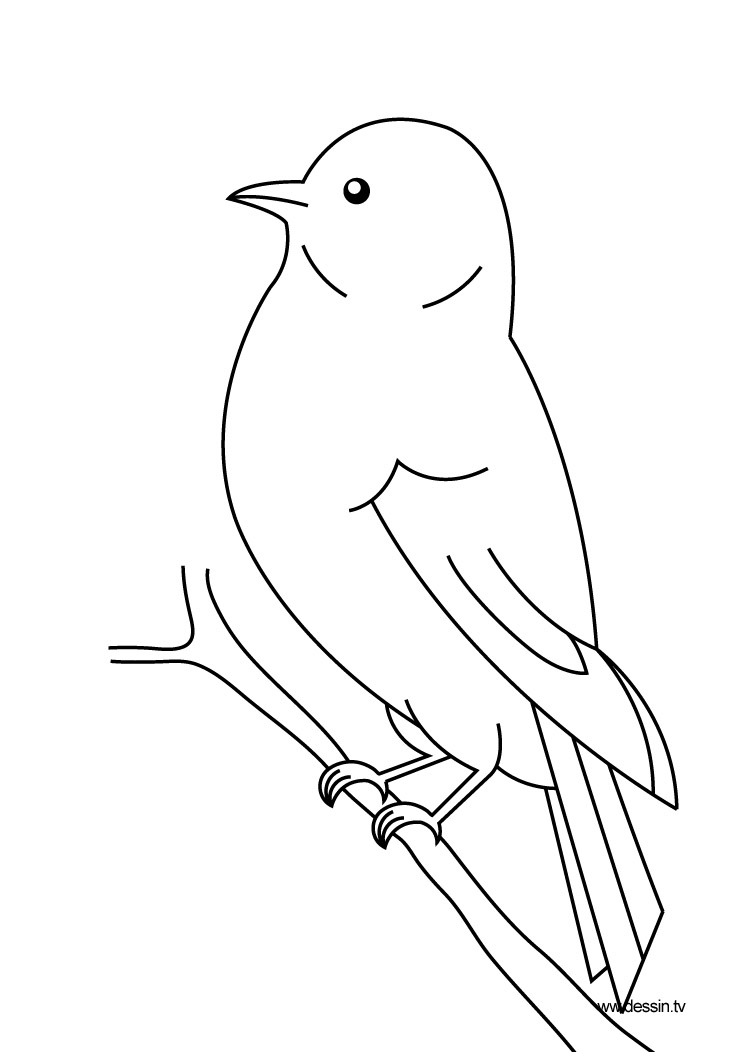 Dessin à colorier: Oiseaux (Animaux) #11844 - Coloriages à Imprimer Gratuits
