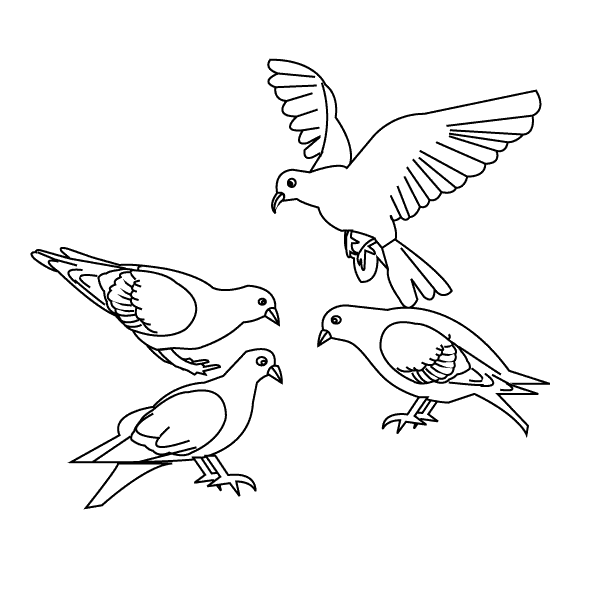 Dessin à colorier: Oiseaux (Animaux) #11856 - Coloriages à Imprimer Gratuits