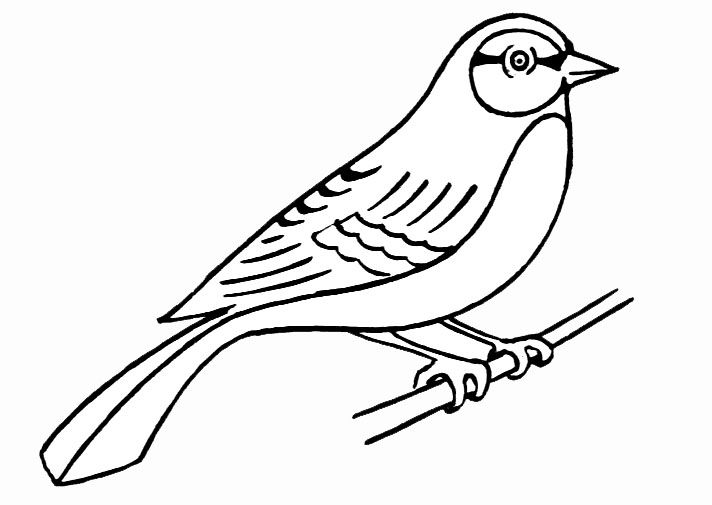 Dessin à colorier: Oiseaux (Animaux) #11861 - Coloriages à Imprimer Gratuits