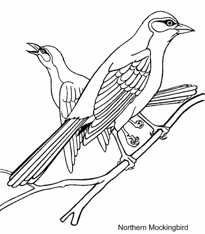 Dessin à colorier: Oiseaux (Animaux) #11871 - Coloriages à Imprimer Gratuits
