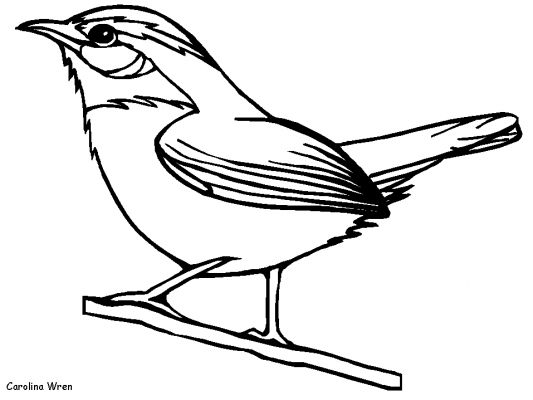 Dessin à colorier: Oiseaux (Animaux) #11882 - Coloriages à Imprimer Gratuits