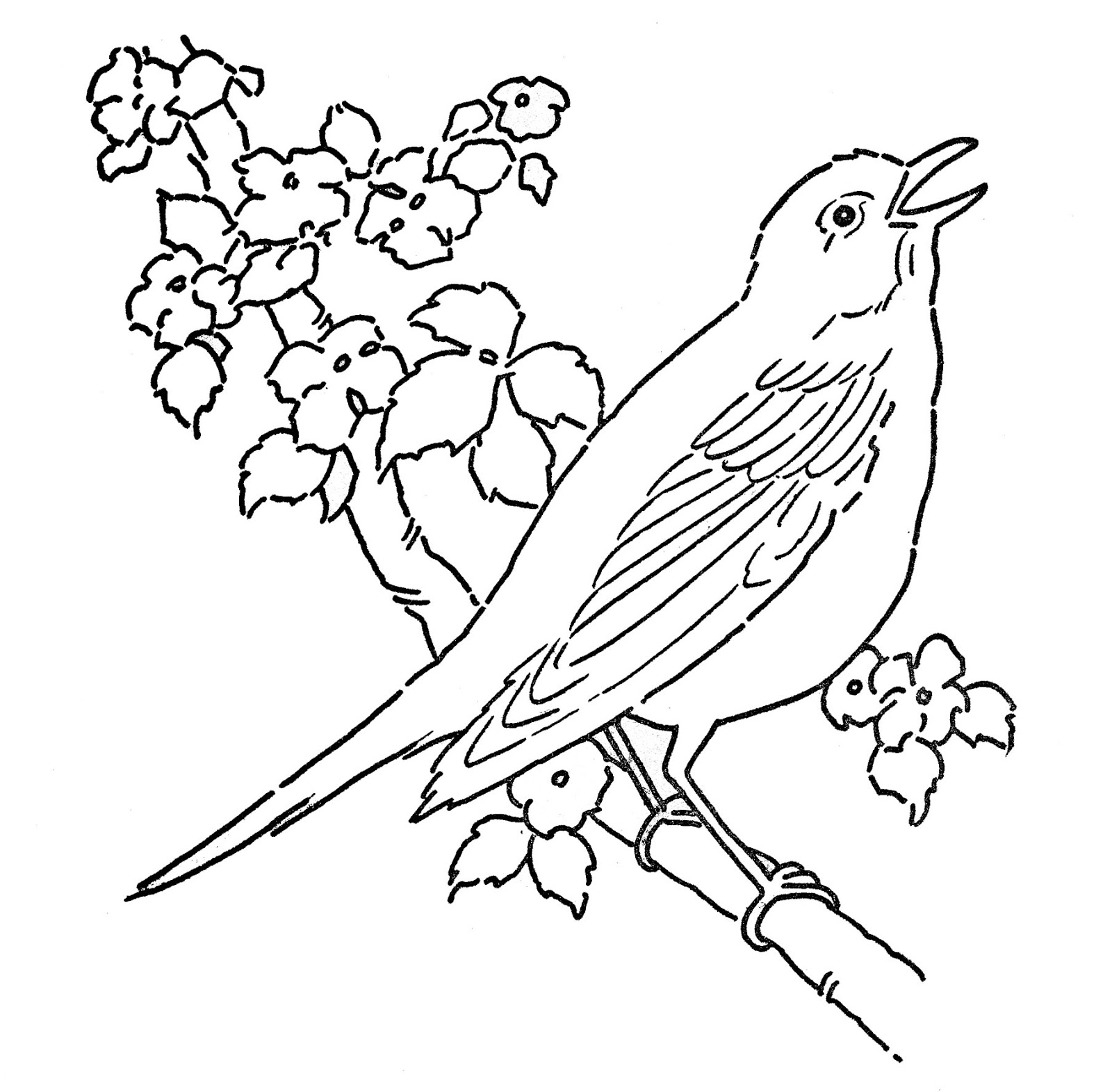 Dessin à colorier: Oiseaux (Animaux) #11883 - Coloriages à Imprimer Gratuits