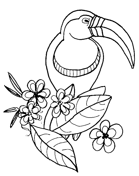 Dessin à colorier: Oiseaux (Animaux) #11897 - Coloriages à Imprimer Gratuits