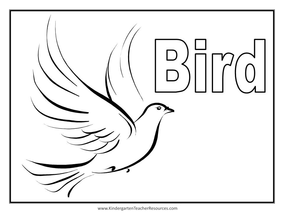 Dessin à colorier: Oiseaux (Animaux) #11907 - Coloriages à Imprimer Gratuits