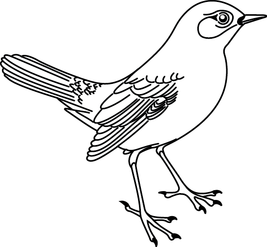 Dessin à colorier: Oiseaux (Animaux) #11913 - Coloriages à Imprimer Gratuits