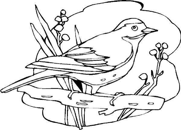Dessin à colorier: Oiseaux (Animaux) #11921 - Coloriages à Imprimer Gratuits