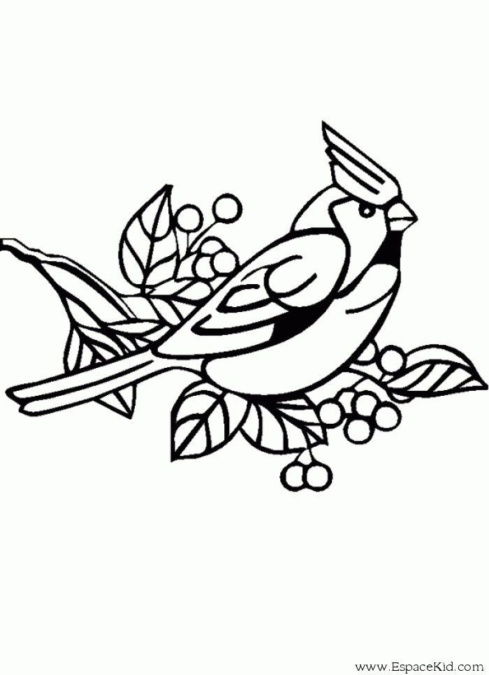 Dessin à colorier: Oiseaux (Animaux) #11969 - Coloriages à Imprimer Gratuits